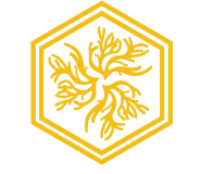 Prime Vitality Logo Icon